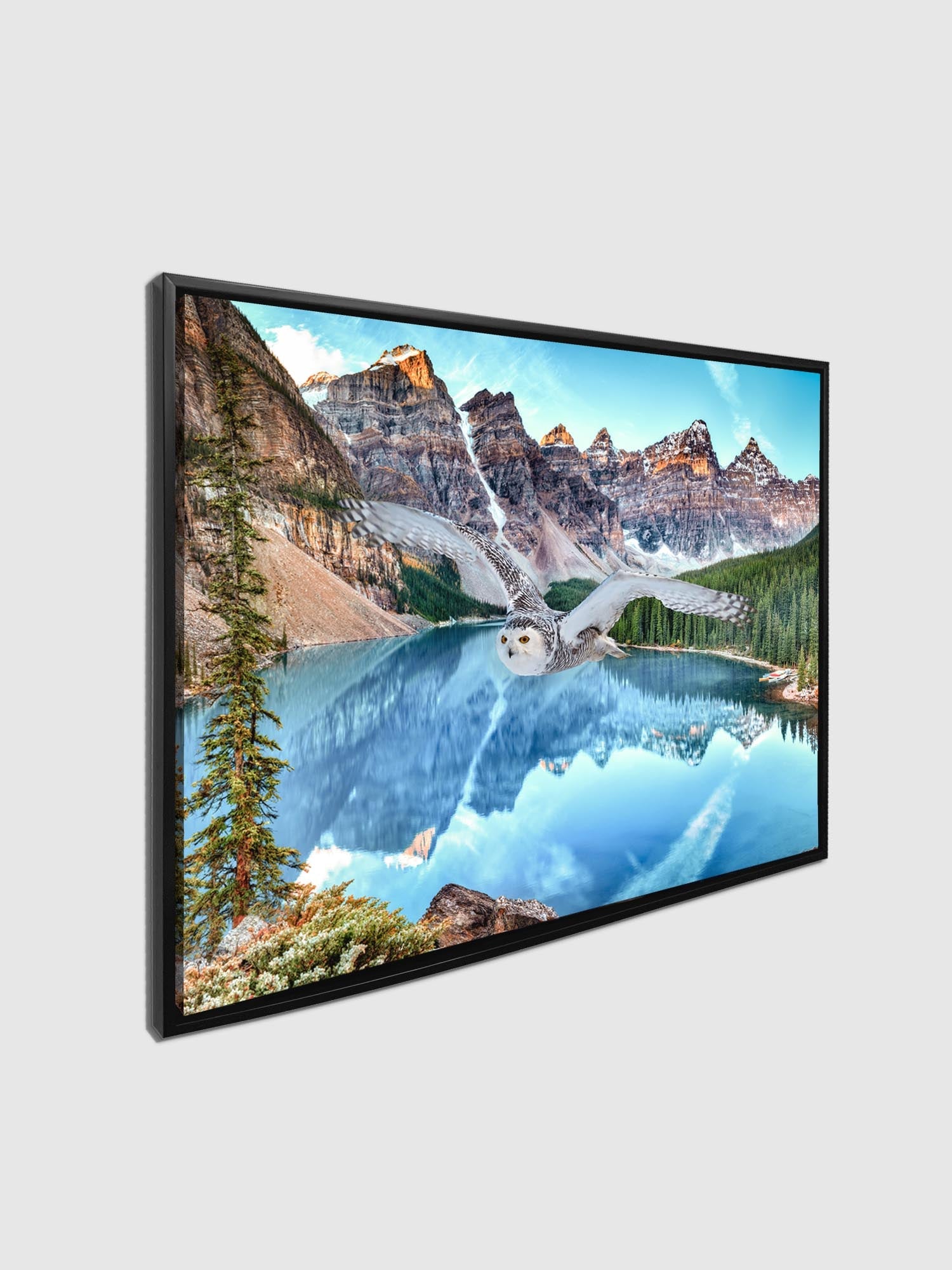 Canvas Wildlife Art-Snowy Owl at Banff-Printed Artwork