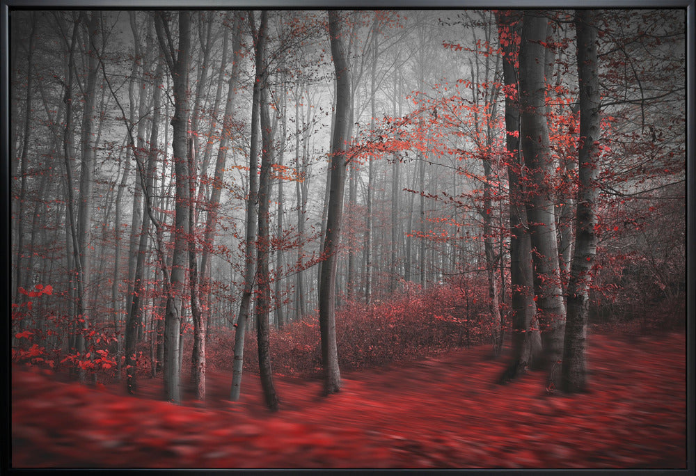 Wall art Bloody River