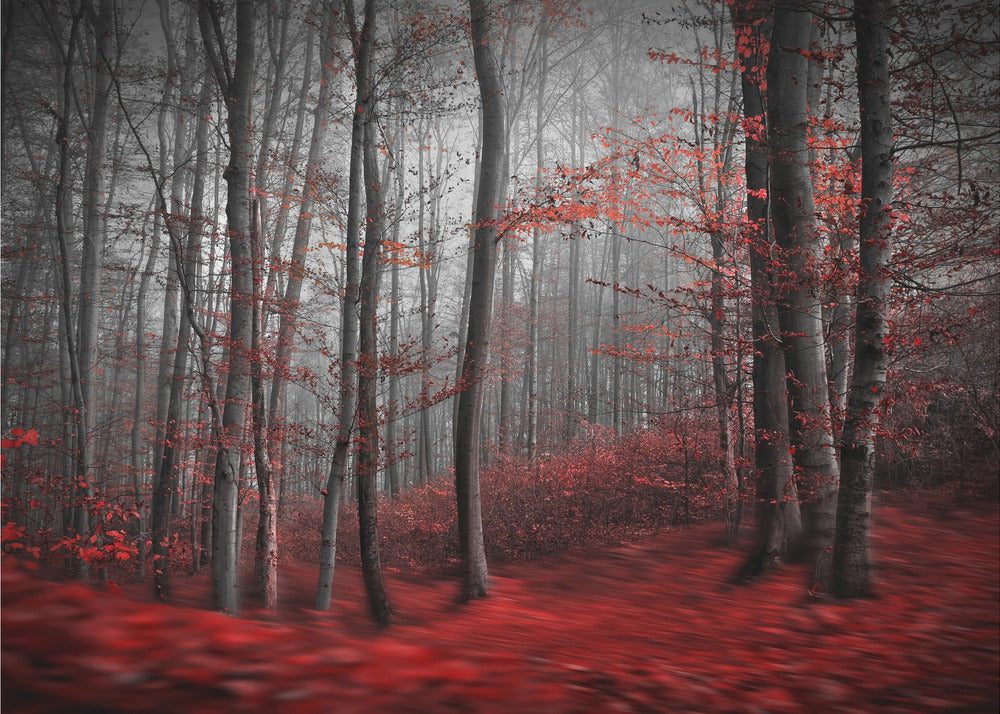 Wall art Bloody River